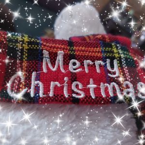 Meet your Posher, Ines